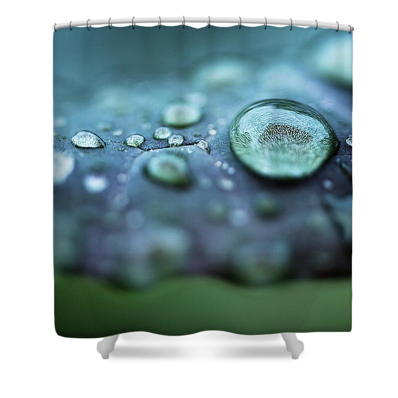 Outdoors Shower Curtain featuring the photograph Rain Drops by Helen Yin