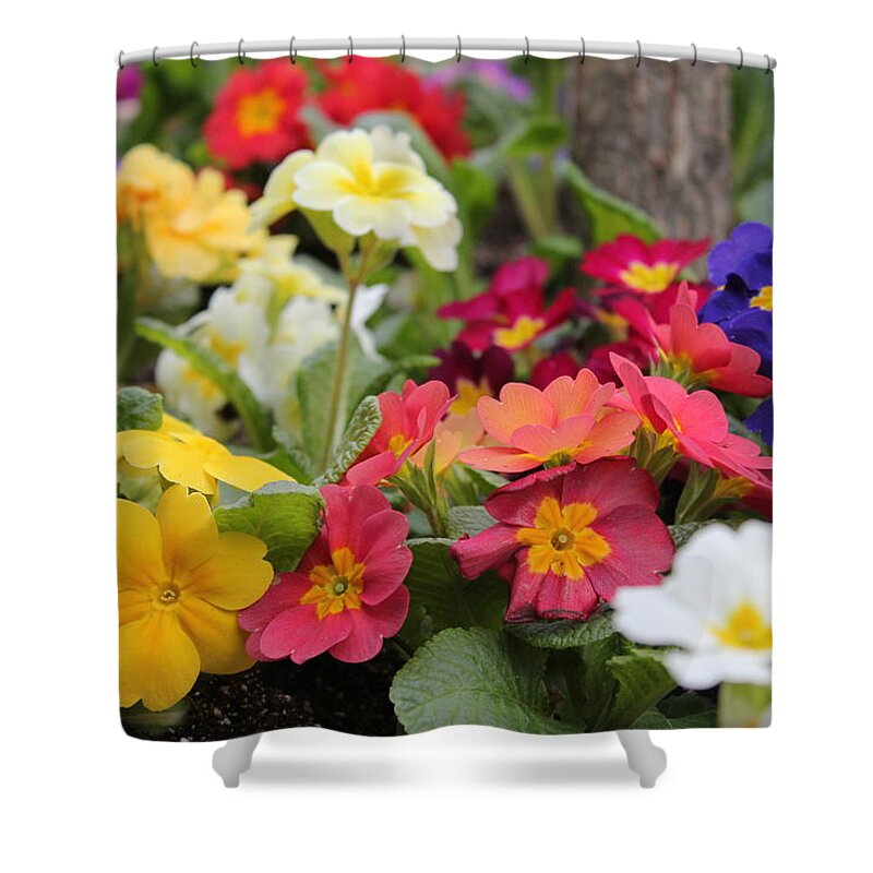 Flowers Shower Curtain featuring the photograph Rainbow Alive by Ruth Kamenev