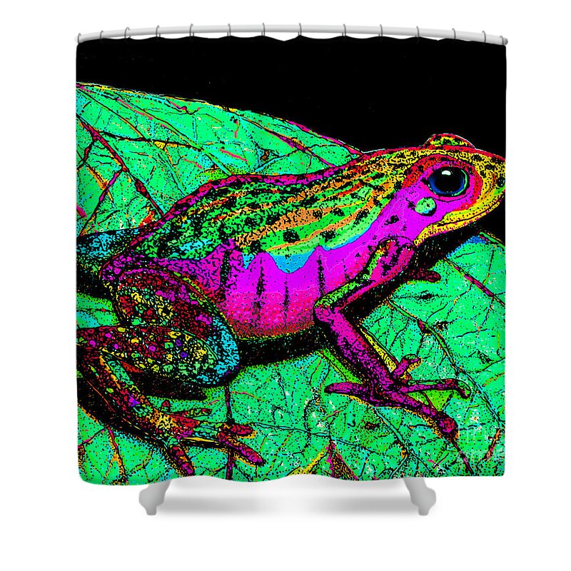 Frog Shower Curtain featuring the photograph Rainbow Frog 3 by Nick Gustafson