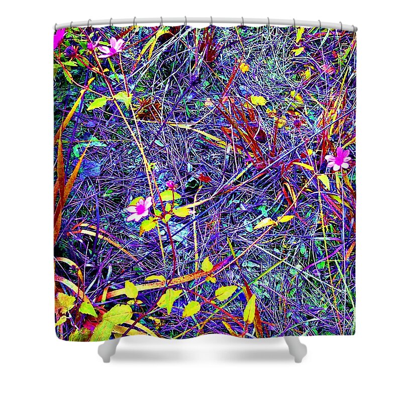 Rainbow Shower Curtain featuring the photograph Rainbow Jungle Wild Flower Patch by George Pedro