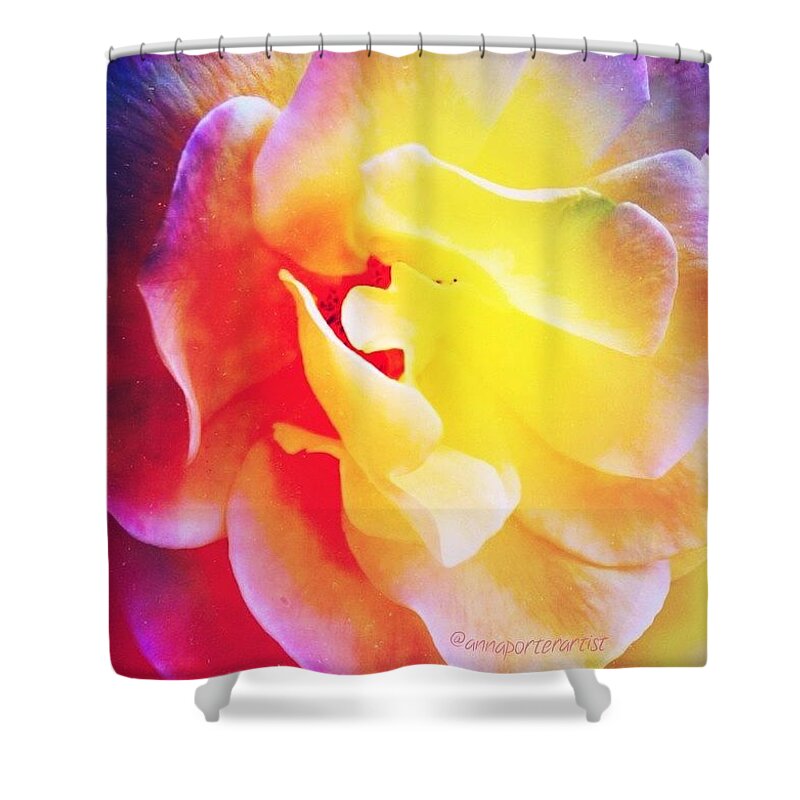 Mybest_edit Shower Curtain featuring the photograph Rainbow Rose, A #gmystudio #coloroflife by Anna Porter