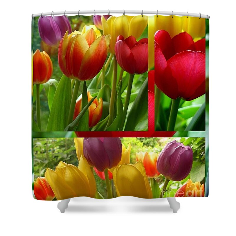 Tulips Shower Curtain featuring the photograph Rainbow Tulip Collage by Joan-Violet Stretch