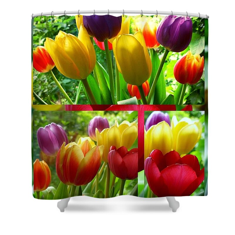 Tulips Shower Curtain featuring the photograph Rainbow Tulips Collage 2 by Joan-Violet Stretch