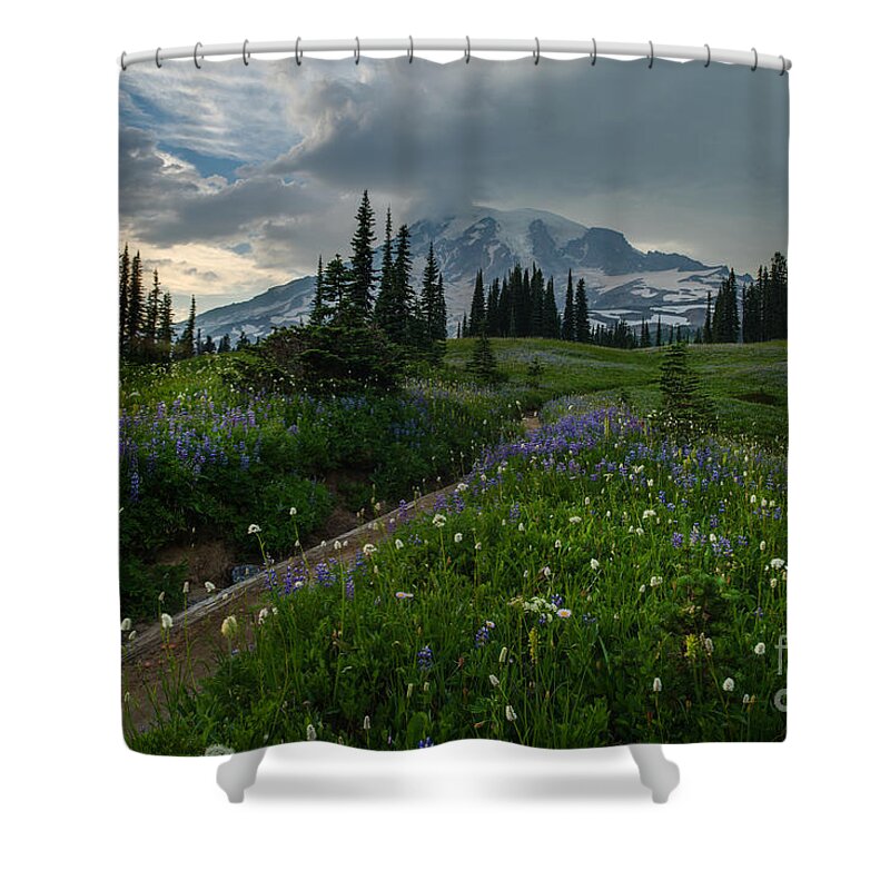 Mount Rainier Shower Curtain featuring the photograph Rainier Meadows Wandering by Mike Reid