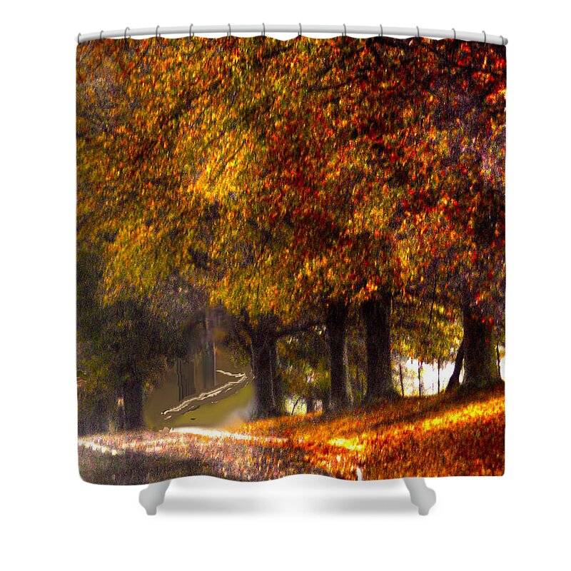 Rainy Day Shower Curtain featuring the photograph Rainy Day Path by Lesa Fine