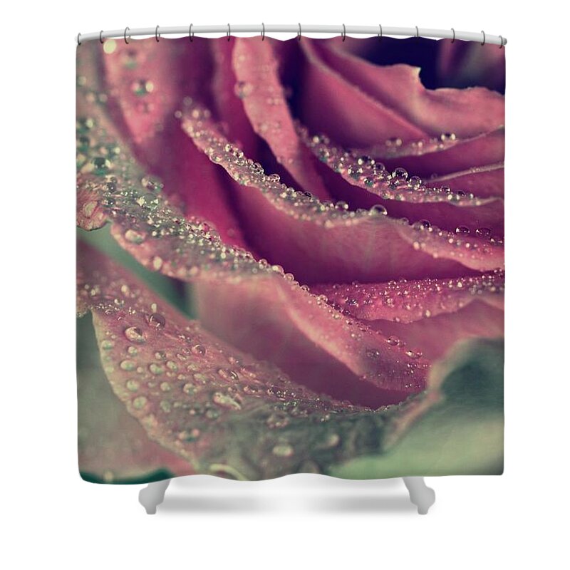 Most Beautiful Rose Shower Curtain featuring the photograph Rainy Days of Rose by The Art Of Marilyn Ridoutt-Greene