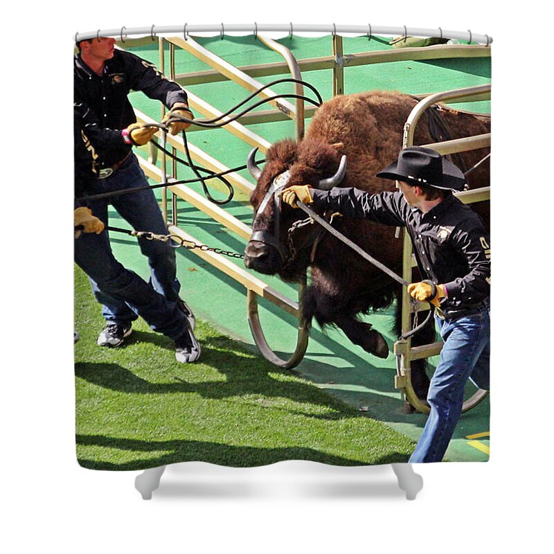 Colorado Shower Curtain featuring the photograph Ralphie by Bob Hislop