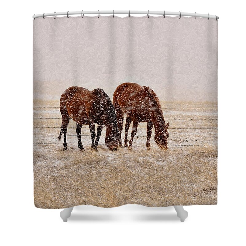 Brown Horses Shower Curtain featuring the photograph Ranch Horses in Snow by Kae Cheatham