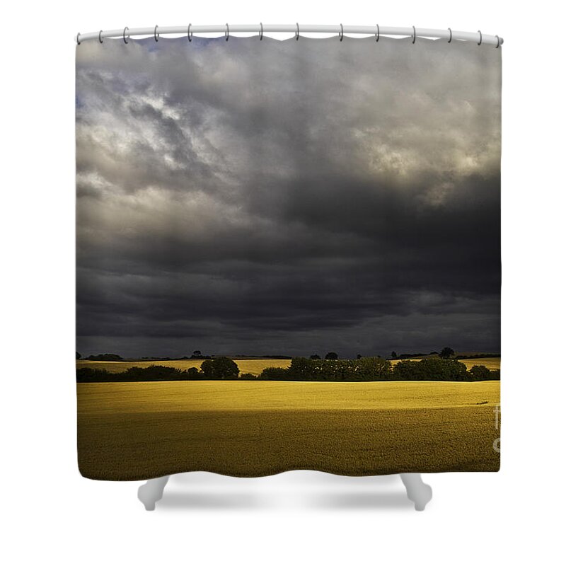 Rapefield Shower Curtain featuring the photograph Rapefield Under Dark Sky by Heiko Koehrer-Wagner