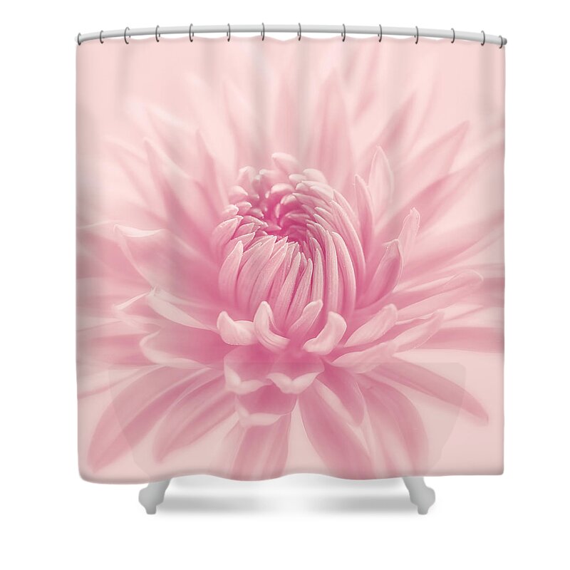 Pastel Shower Curtain featuring the photograph Raspberry Smoothie by Kim Hojnacki