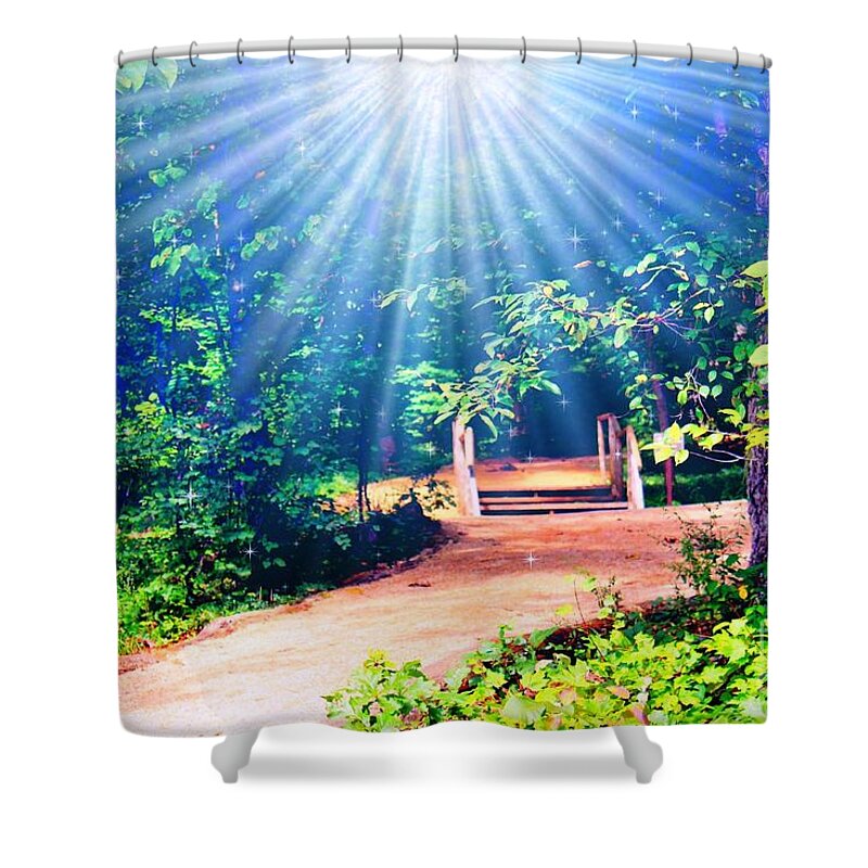 Nature Shower Curtain featuring the photograph Rays Of Light To Guide The Path by Judy Palkimas