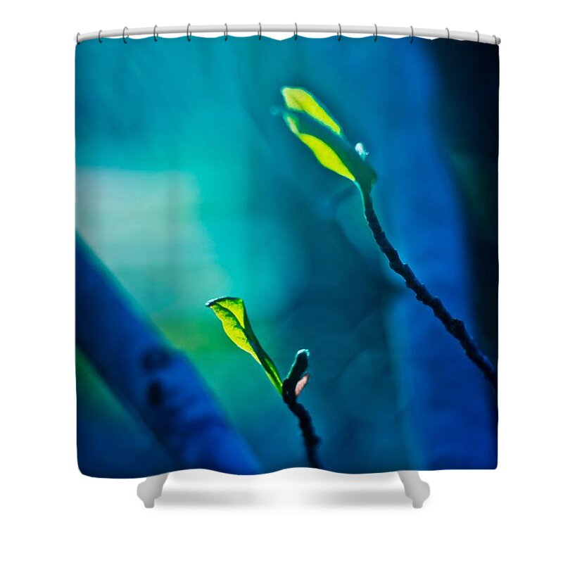 Blue Shower Curtain featuring the digital art Reaching for the Light by Linda Unger