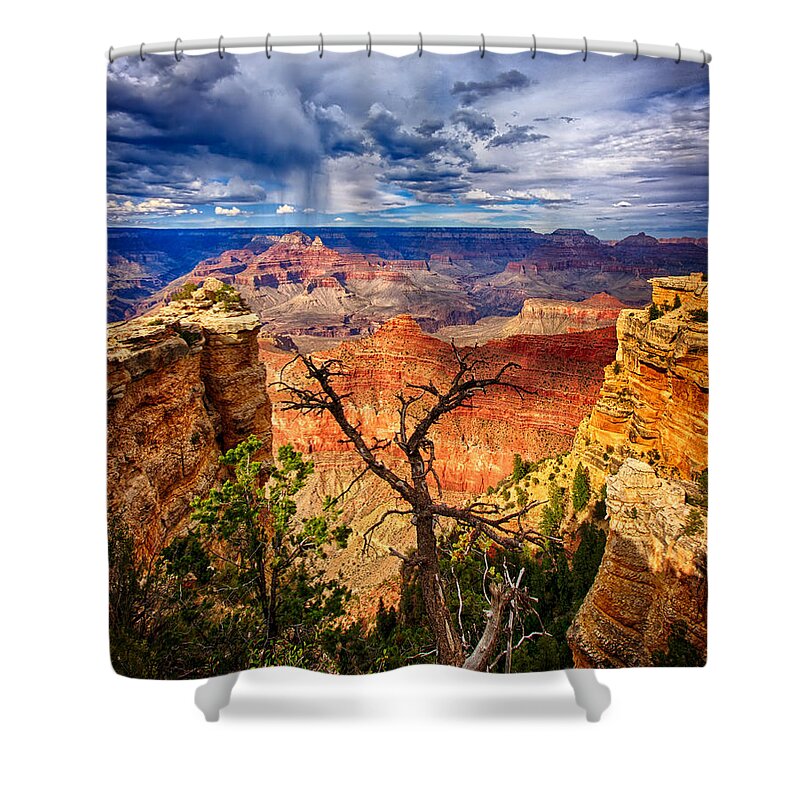 Grand Canyon Shower Curtain featuring the photograph Reaching Up by Beth Sargent