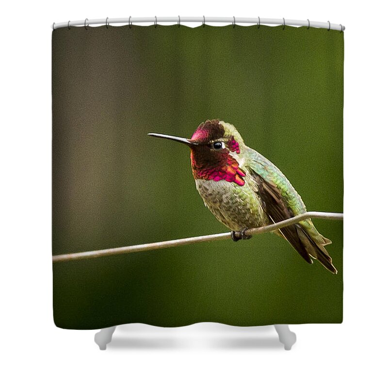 Jean Noren Shower Curtain featuring the photograph Ready to zoom by Jean Noren