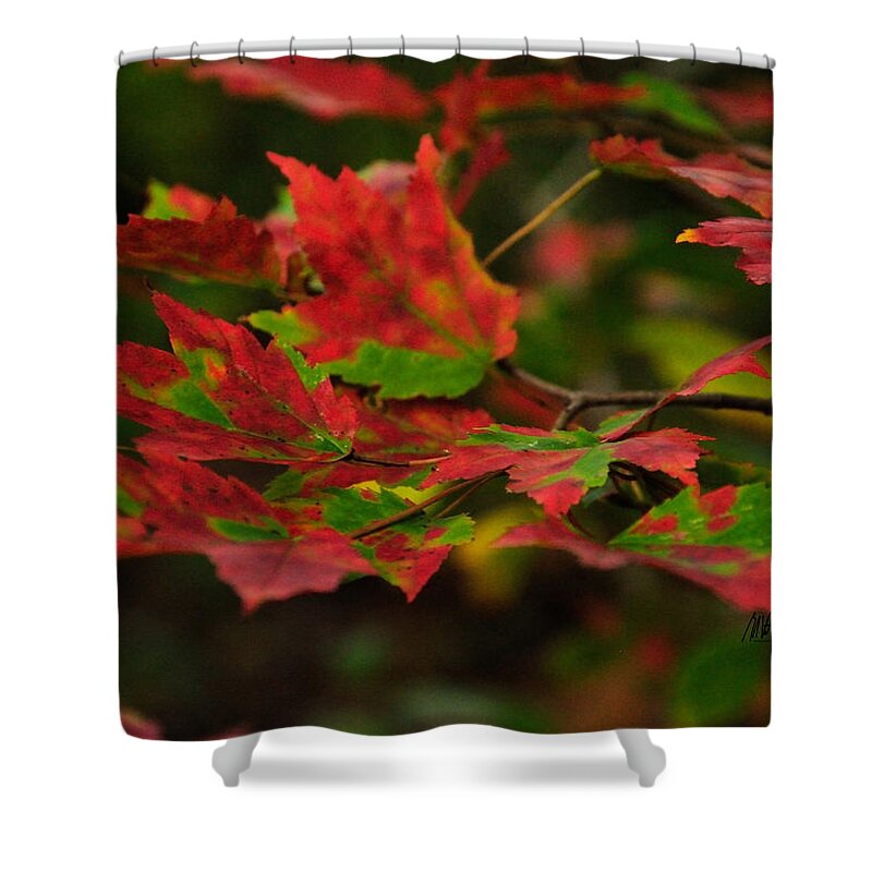 Red Shower Curtain featuring the photograph Red and Green Autumn Leaves by Mark Valentine