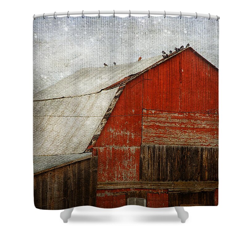 Barn Shower Curtain featuring the photograph Red Barn And First Snow by Theresa Tahara