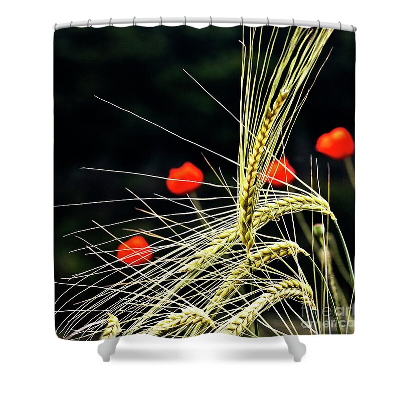 Red Corn Poppies Shower Curtain featuring the photograph Red Corn Poppies by Heiko Koehrer-Wagner