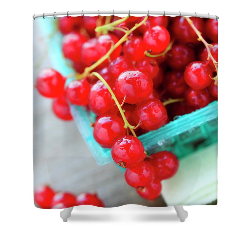 Red Currant Shower Curtain featuring the photograph Red Currants by Nicolesy