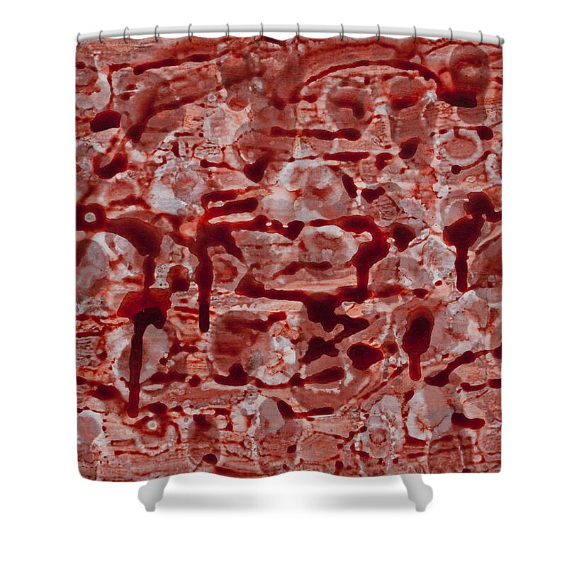 Abstract Shower Curtain featuring the painting Red by Darice Machel McGuire