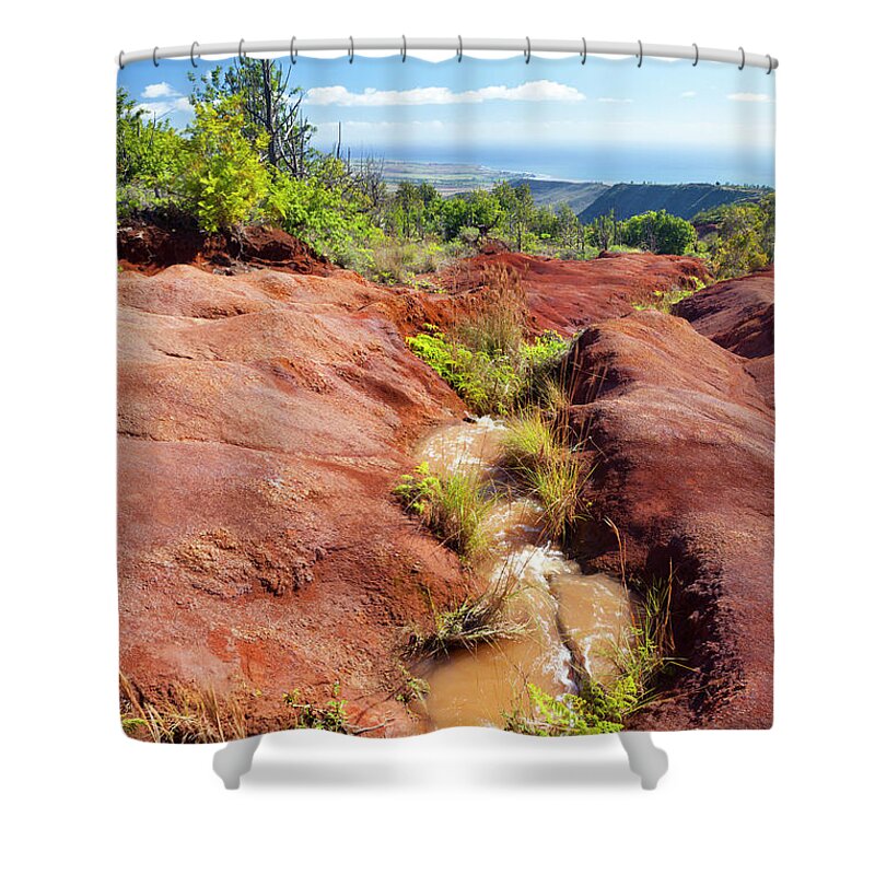 Scenics Shower Curtain featuring the photograph Red Dirt River, Kauai by Michaelutech