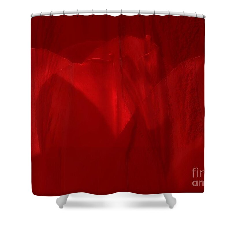 Tulip Shower Curtain featuring the photograph Red Drama by Roxy Riou