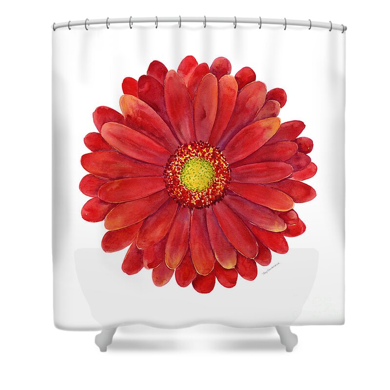 Red Shower Curtain featuring the painting Red Gerbera Daisy by Amy Kirkpatrick