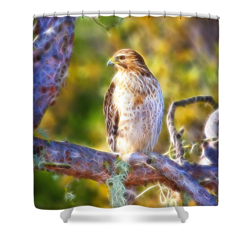 Abstract Shower Curtain featuring the photograph Red Hawk Fractal by Beth Sargent