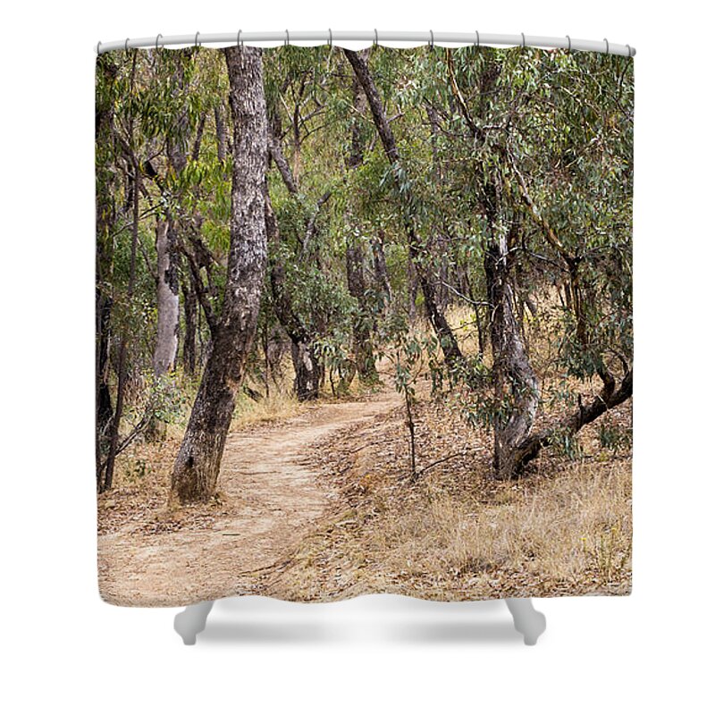 Australia Shower Curtain featuring the photograph Red Hill Trail by Steven Ralser