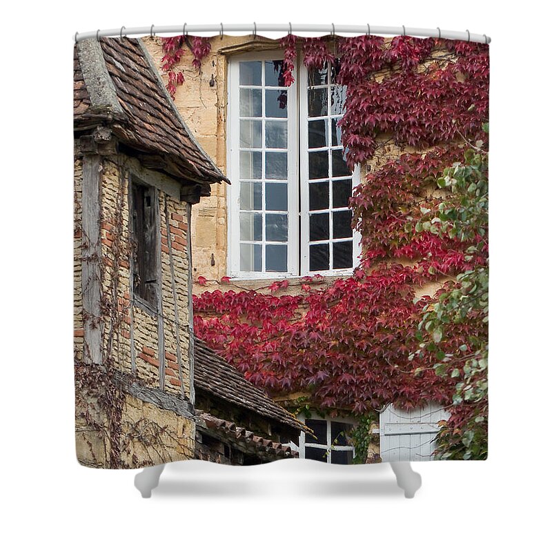 Window Shower Curtain featuring the photograph Red Ivy Window by Paul Topp