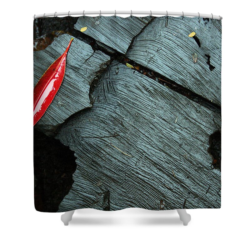 Fall Colors Shower Curtain featuring the photograph Red Leaf on Cut Wood by Jennifer Bright Burr