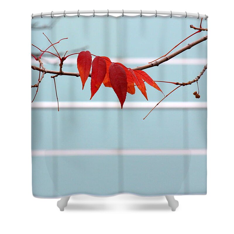 Red Leaves Shower Curtain featuring the photograph Red Leaves by Viviana Nadowski