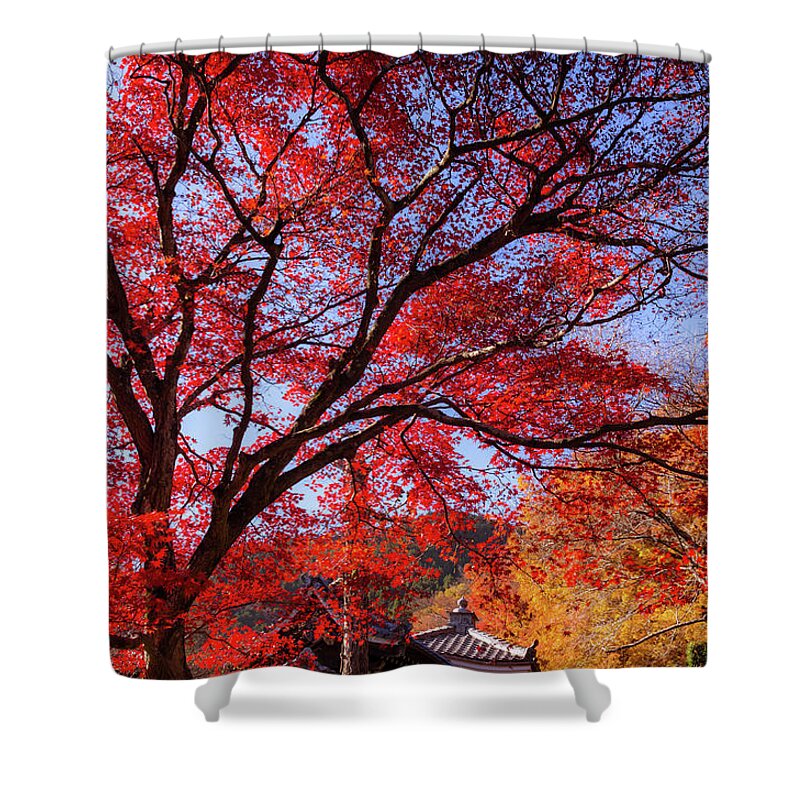 Tranquility Shower Curtain featuring the photograph Red Maple Tree In A Temple by Ma Photo