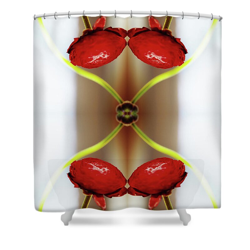 Tranquility Shower Curtain featuring the photograph Red Ranunculus by Silvia Otte