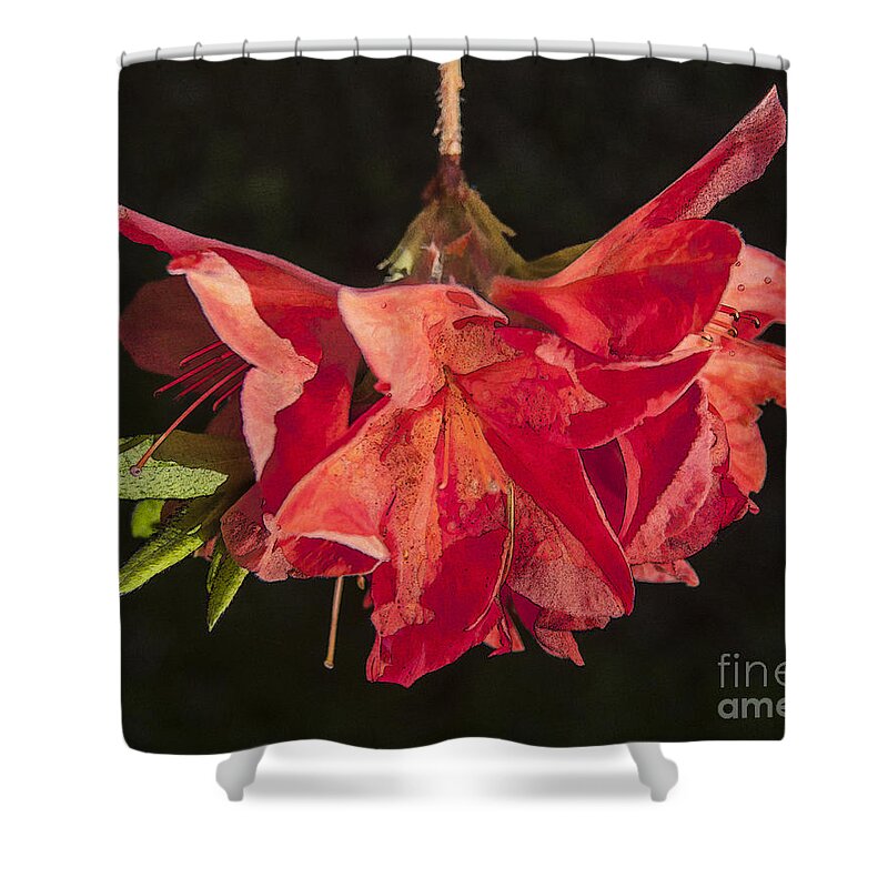 Red Shower Curtain featuring the digital art Red Rhododendron by Liz Leyden