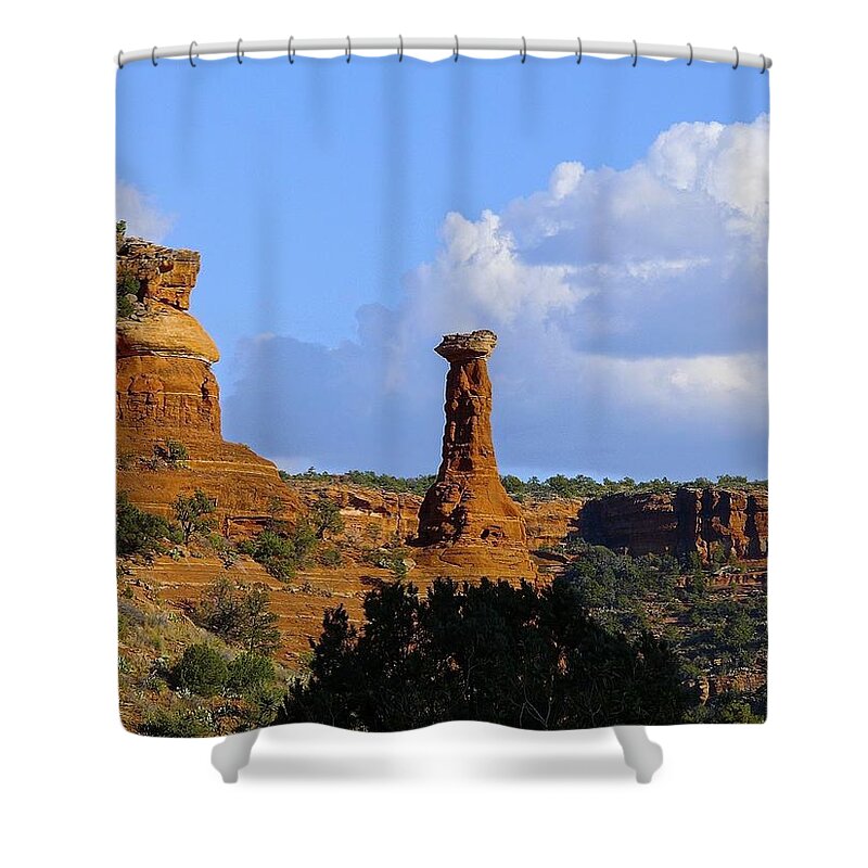 Sedona Shower Curtain featuring the photograph Red Rock Secret Mountain by Barbara Zahno