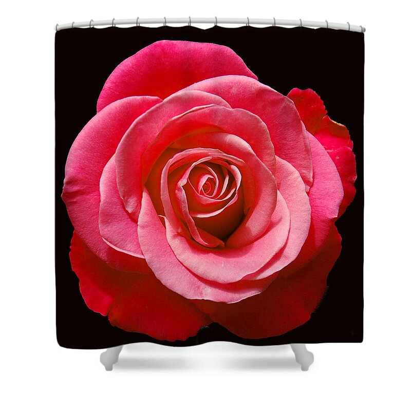 Rose Shower Curtain featuring the photograph Red Rose on Black by Aimee L Maher ALM GALLERY