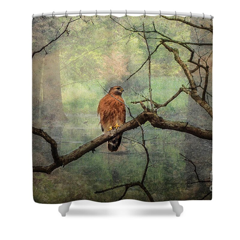 Landscape Shower Curtain featuring the photograph Red Shoulder Hawk by Peggy Franz