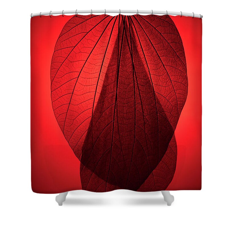 Natural Pattern Shower Curtain featuring the photograph Red Toned Leaf Skeleton by Miragec