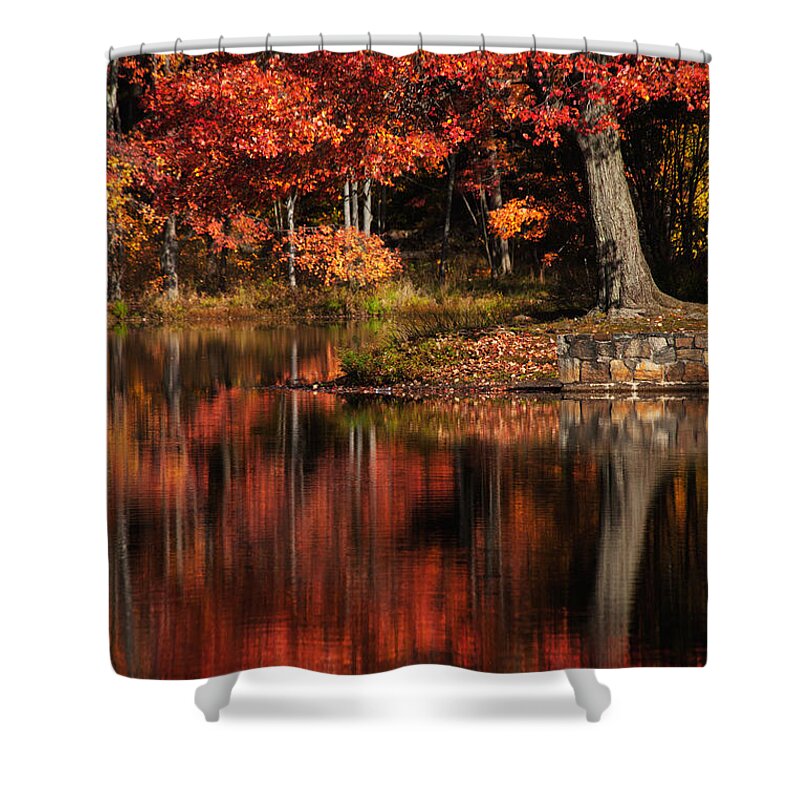 Red Tree Shower Curtain featuring the photograph Red Tree by Karol Livote