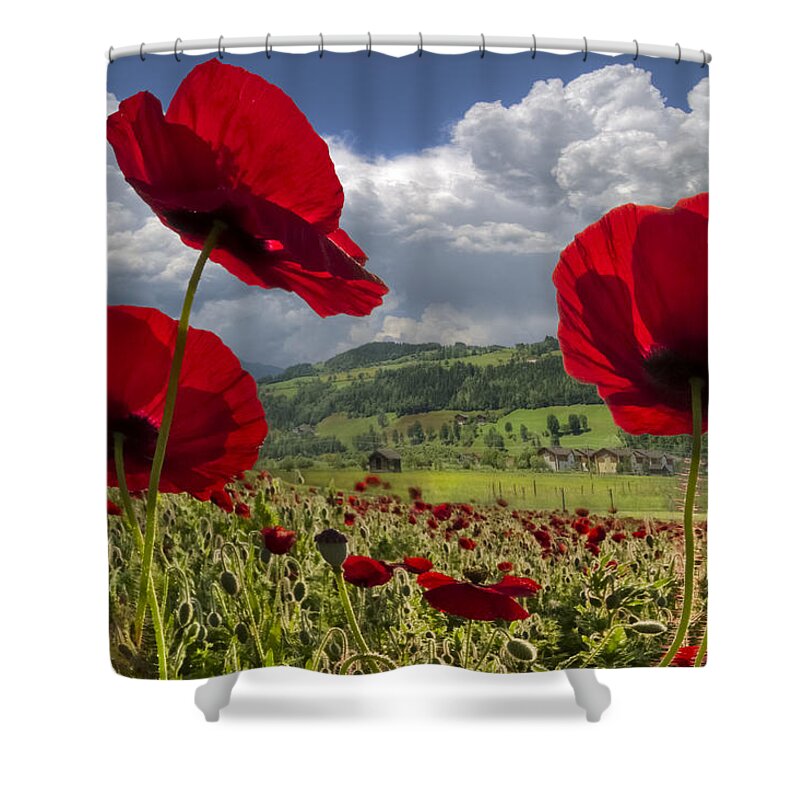 Appalachia Shower Curtain featuring the photograph Red White and Blue by Debra and Dave Vanderlaan