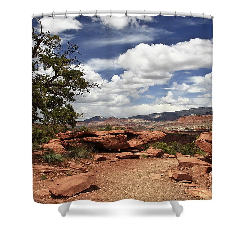 Desert Shower Curtain featuring the photograph Red White and Blue by Kathy McClure