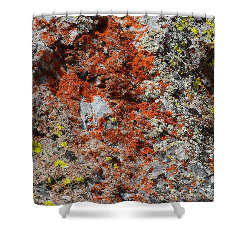 Nature Shower Curtain featuring the photograph Red with Green by Brent Dolliver