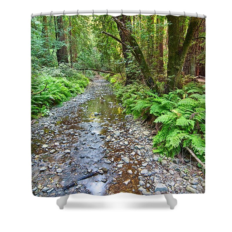 Redwood Shower Curtain featuring the photograph Redwood Forest of Muir Woods National Monument. by Jamie Pham
