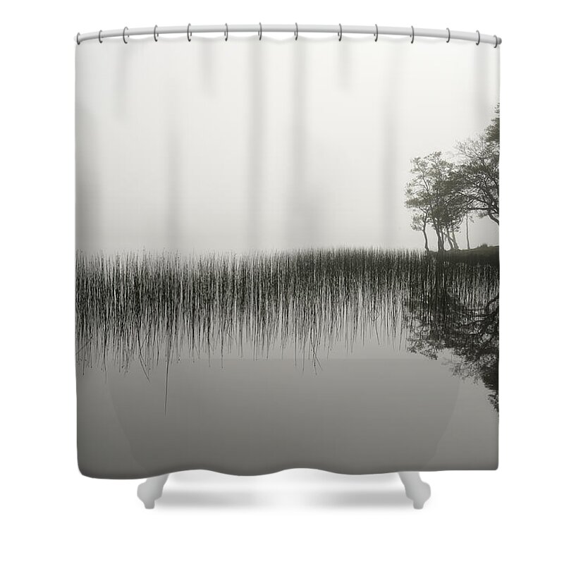 Mist Shower Curtain featuring the photograph Reeds and shore in the mist by Gary Eason