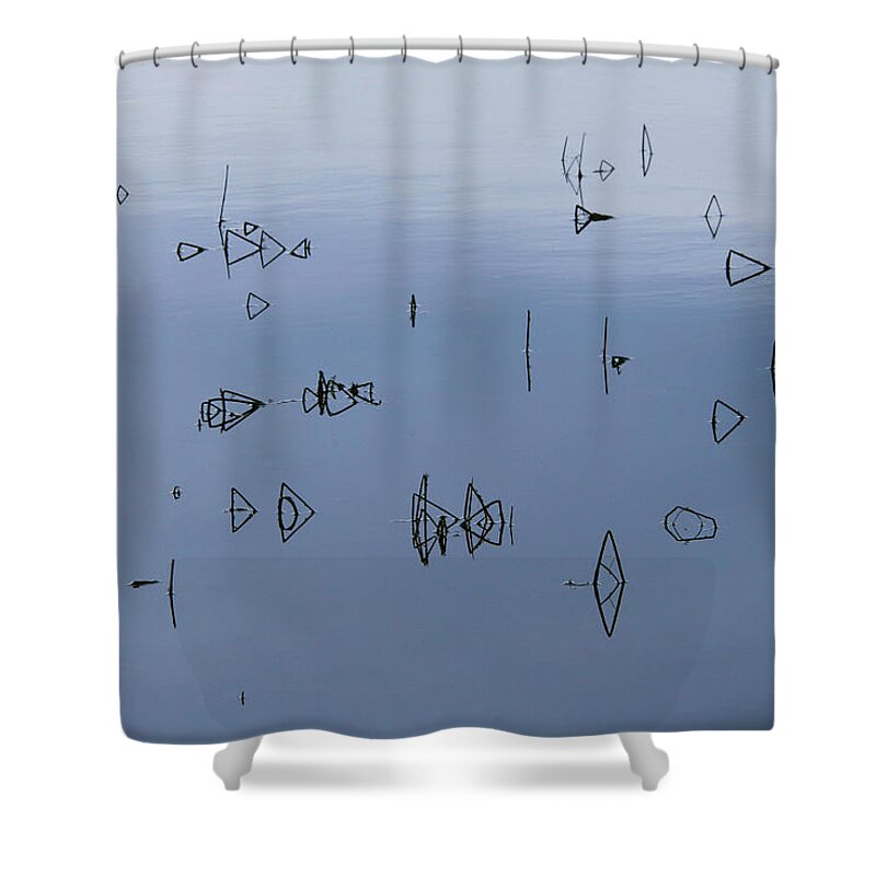 Reeds Shower Curtain featuring the photograph Reeds in a Rice Field by Robert Woodward