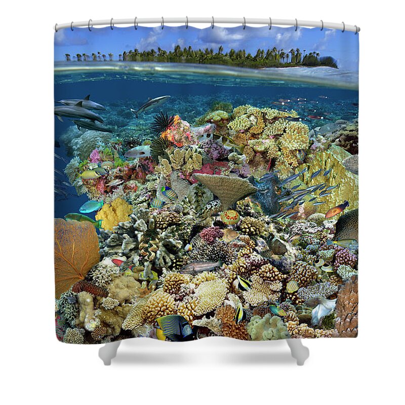 Marine Life Shower Curtain featuring the digital art Reef Magic by Artesub