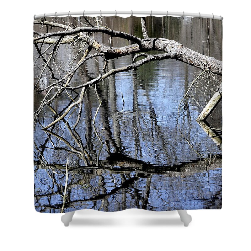 Water Shower Curtain featuring the photograph Reflection Tree by Bob Slitzan