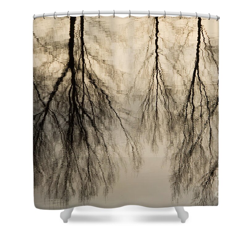 Landscape Shower Curtain featuring the photograph Reflections in black and grey by Adriana Zoon