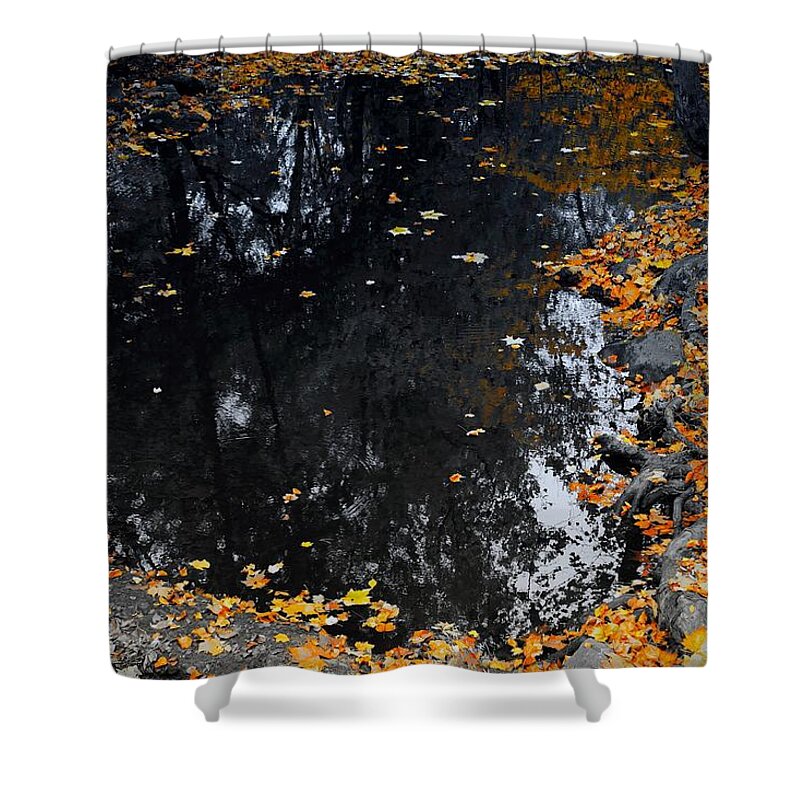 Reflections Shower Curtain featuring the photograph Reflections of Autumn by Photographic Arts And Design Studio