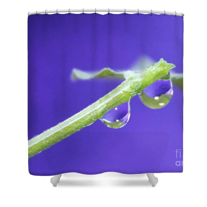 Plant Shower Curtain featuring the photograph Reflections of Hope by Krissy Katsimbras